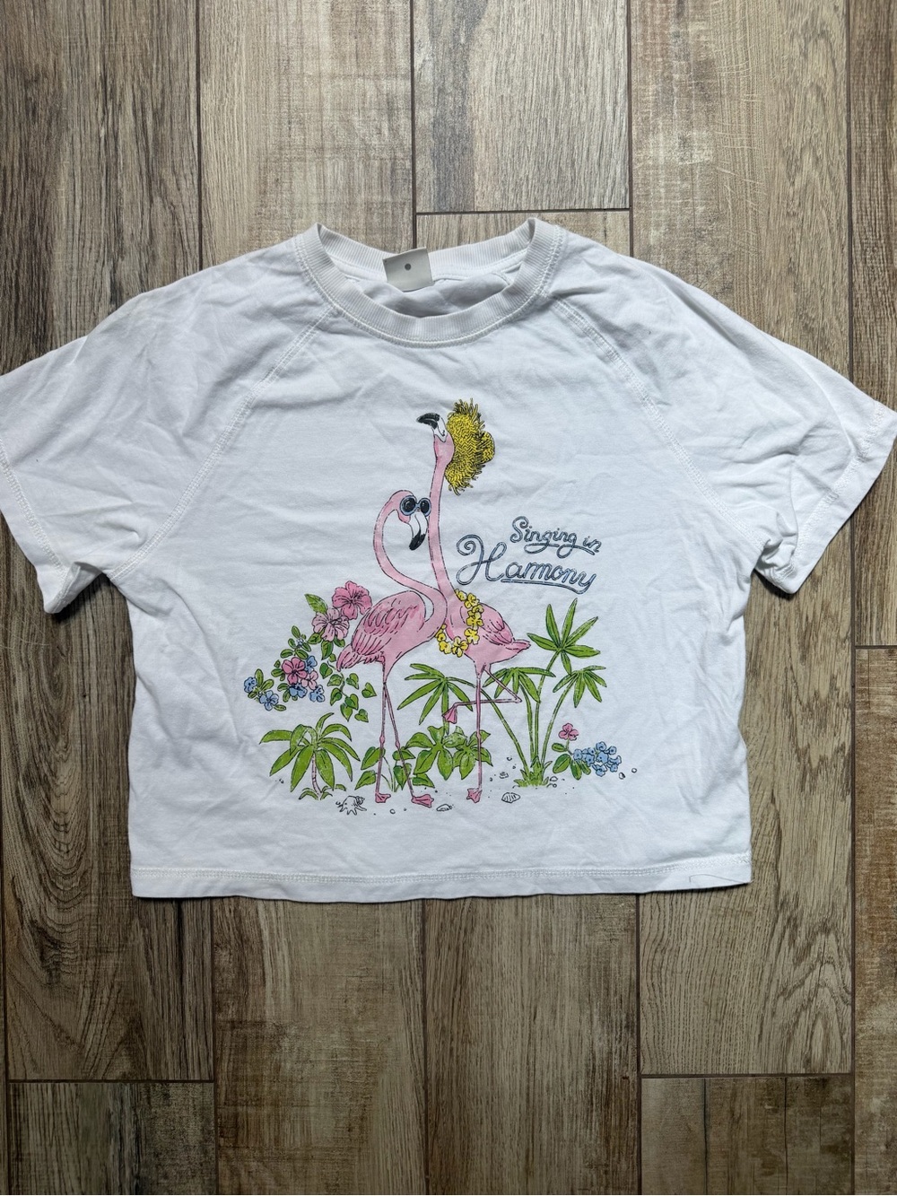 Zara White Tee with Pink Flamingo and Tropical Graphic